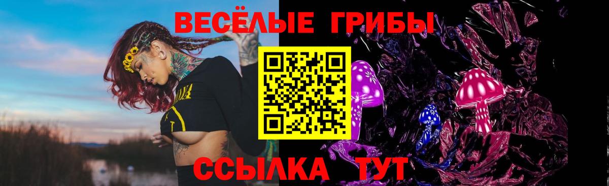 Барнаул  Галлюциногенные грибы Psilocybe  Вход с VPN 